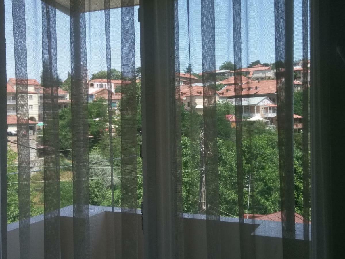 Guest House Vista Szenaki Kültér fotó