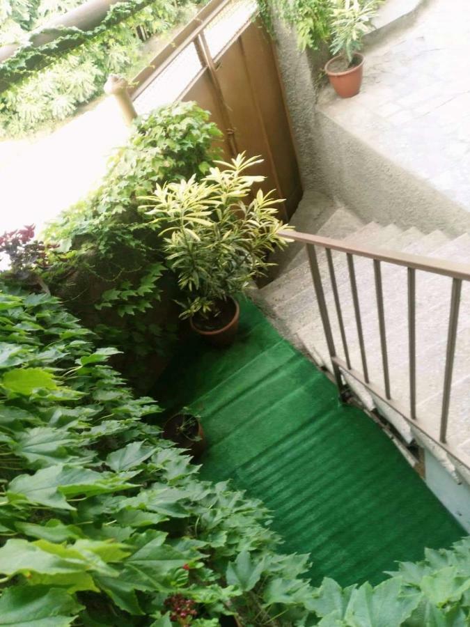 Guest House Vista Szenaki Kültér fotó